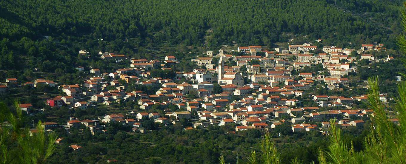 SmokvicaBanner.jpg SmokvicaBanner.jpg