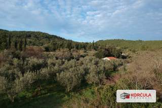 Building land in Postrana, quiet location, surrounded by olive groves