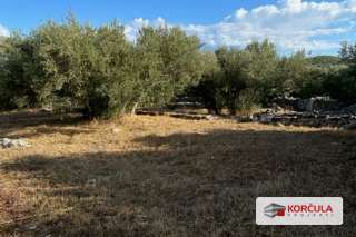 A spacious building plot in Vela Luka is for sale