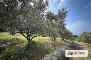 Agricultural land with a panoramic view in Potirna