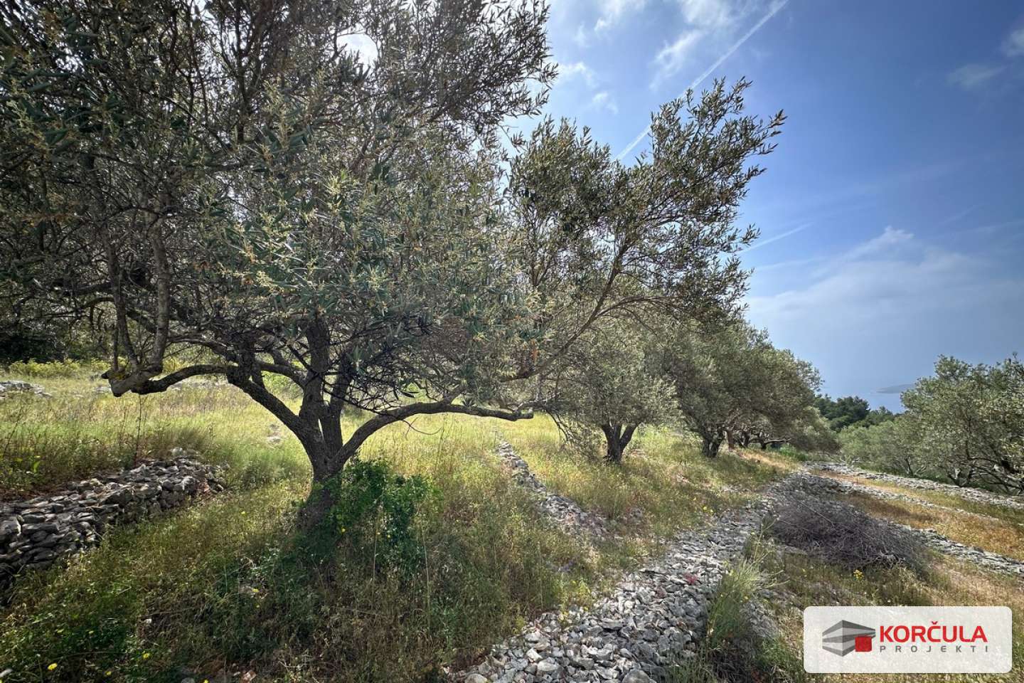 Agricultural land with a panoramic view in Potirna