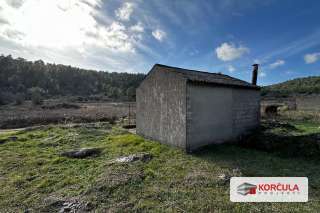 Countryside Cottage with Spacious Agricultural Land in Bršćanovica, Near Blato
