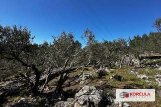 Tri šarmantne kućice u masliniku – Čelopike, Blato