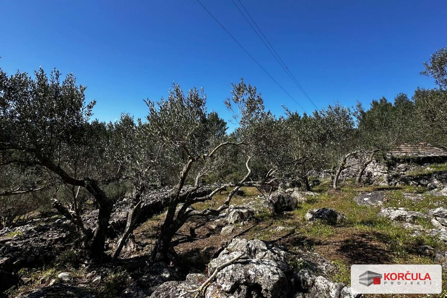  Three Charming Cottages in an Olive Grove – Čelopike, near Blato