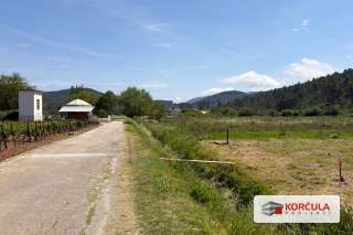 Attractive agricultural land in Blatsko Polje, near Blato