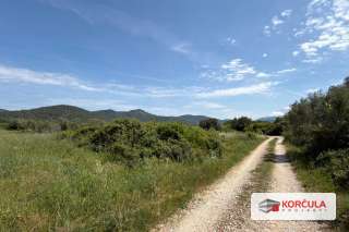 Beautiful agricultural land in Zablaće (Blatsko Polje), near Vela Luka and Blato