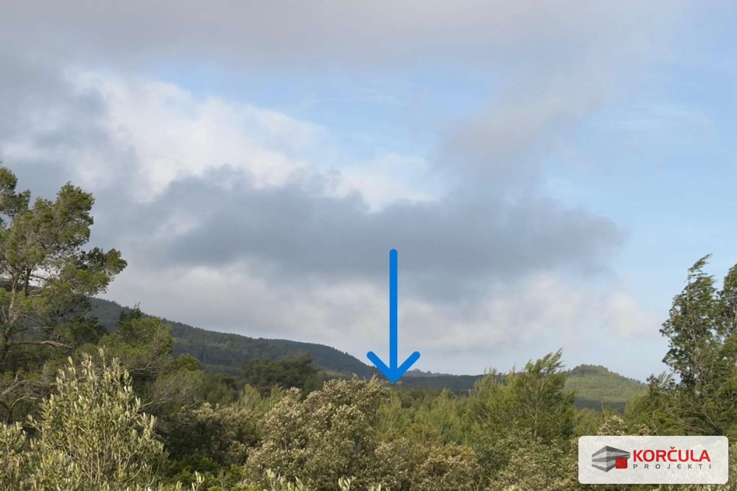 Spacious Agricultural Land of Impressive Size in the Papuše Area, Blato