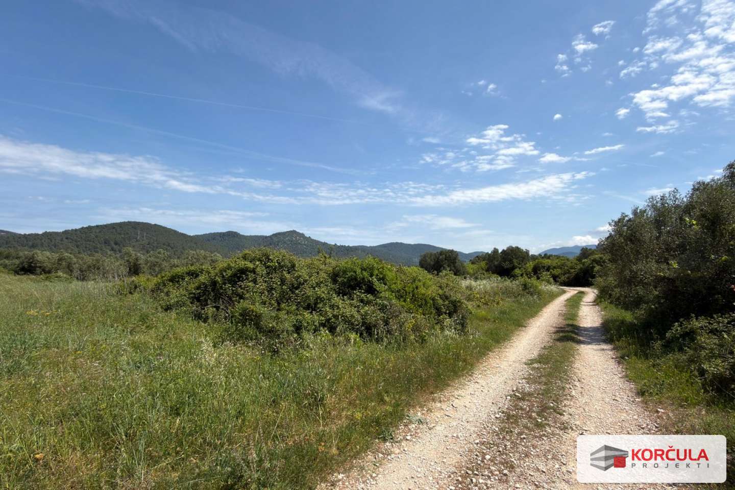 Beautiful agricultural land in Zablaće (Blatsko Polje), near Vela Luka and Blato