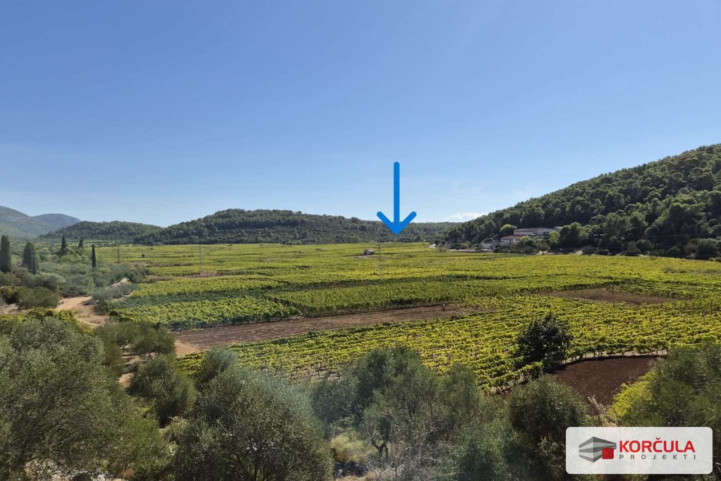 Spacious and Beautiful Agricultural Land in Čara, Next to Čarsko Polje